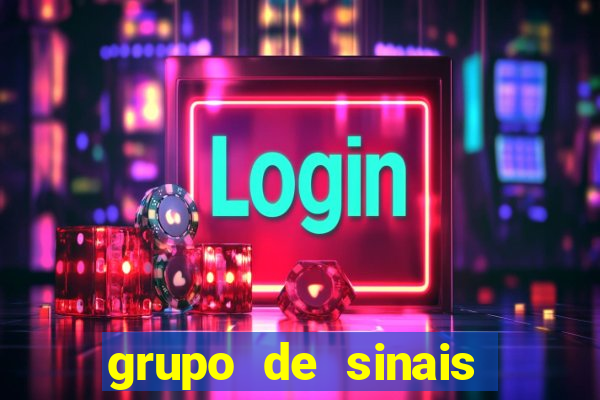 grupo de sinais fortune rabbit